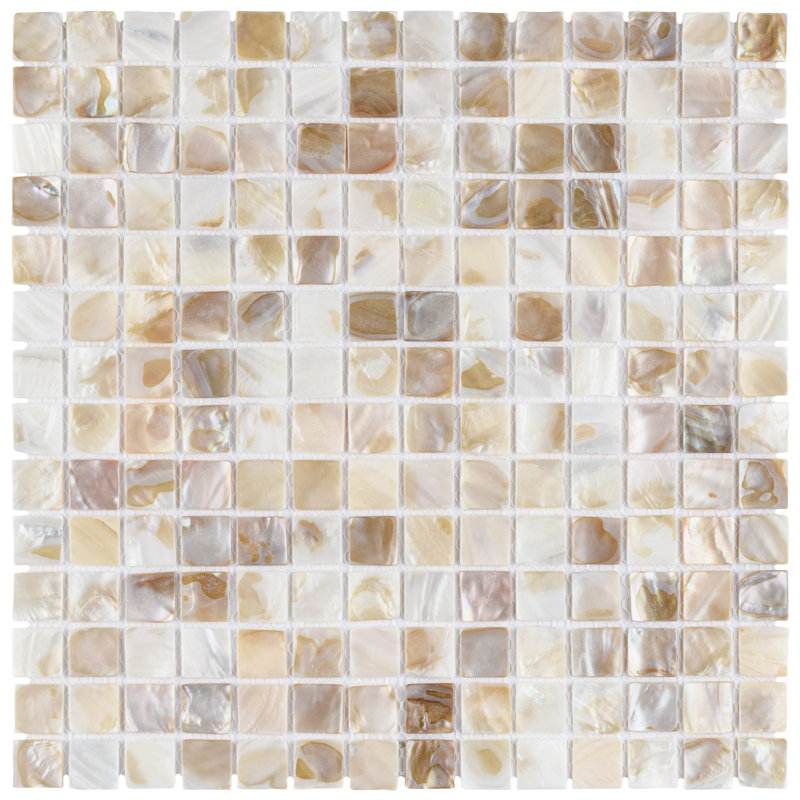 Conchella Square Natural 12" x 12" Natural Shell Mosaic Tile