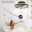 Ventilateur de plafond moderne à DEL avec lumière - Plafonnier à intensité variable de 16 po avec télécommande et température de couleur réglable, ventilateur silencieux pour la chambre à coucher, le salon, noir