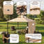 Gazebo de terrasse extérieure de 4,88 m x 3,05 m avec auvent latéral étendu et canopée à double niveau-136922238