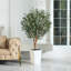 Adcock Artificial Olive Tree with Decorative Pot, UV Resistant Faux Olive Tree with Natural Trunk-556367956-556367954