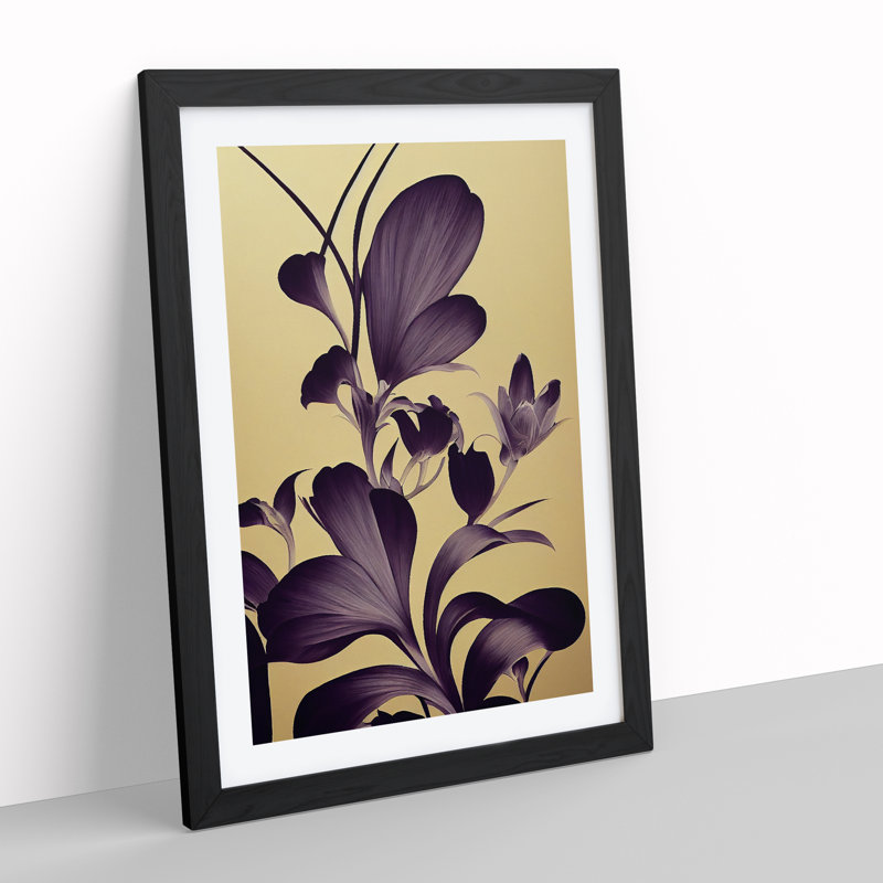 Impression Of Flowers - Single Picture Frame Print, Black, 64cm H x 46cm W x 2cm D