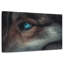 Loup aux yeux bleus Brampt-108912977