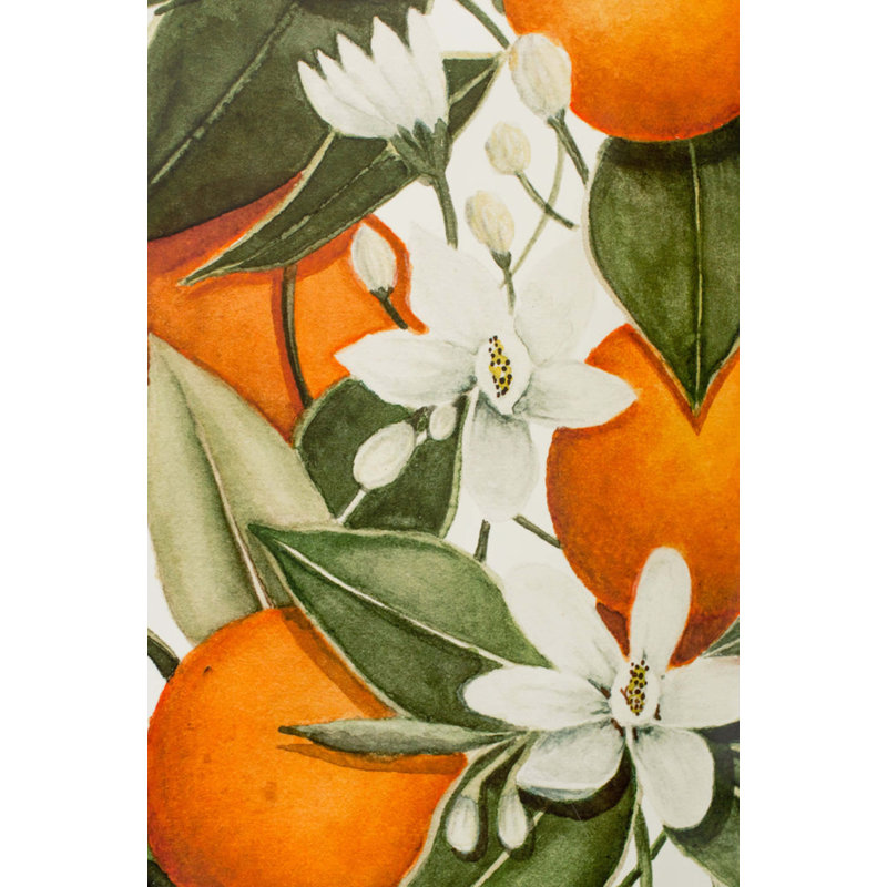 Floral Wallpaper, Pre-Pasted