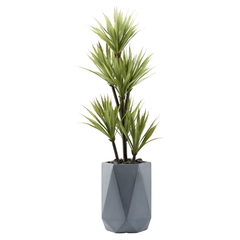 Yucca en pot de fleurs géométrique, gris