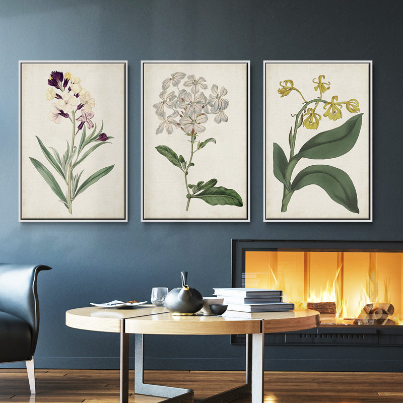 Ensemble de 3 pièces encadrées sur toile Antique Botanical Collection VII, H 40 po x l 78 po, Blanc
