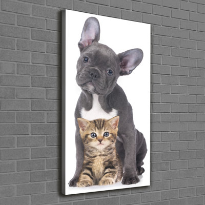 Dog And Cat - Wrapped Canvas Print
