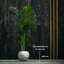 Handmade Pot Planter-52454940