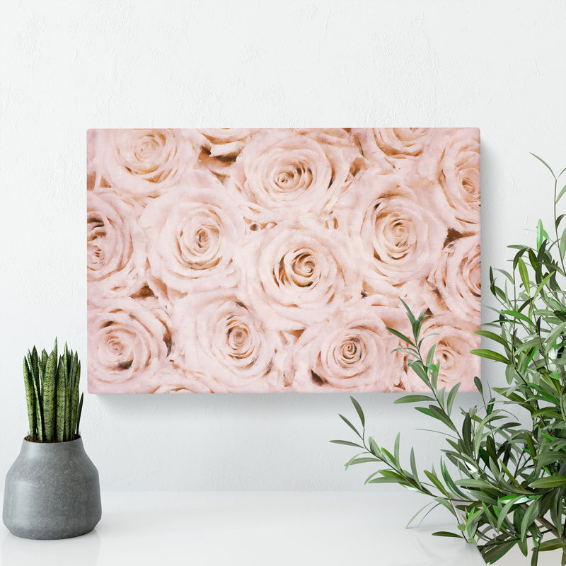 Wall Of Pink Roses - Wrapped Canvas Print, 35cm H x 50cm W x 3cm D