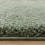 Taiwo Shaggy Sage Area Rug-1552391343