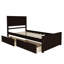 Yaqi Storage Bed