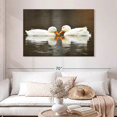 Couple de canards blancs Crowle
