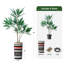 66 plantes-97701529