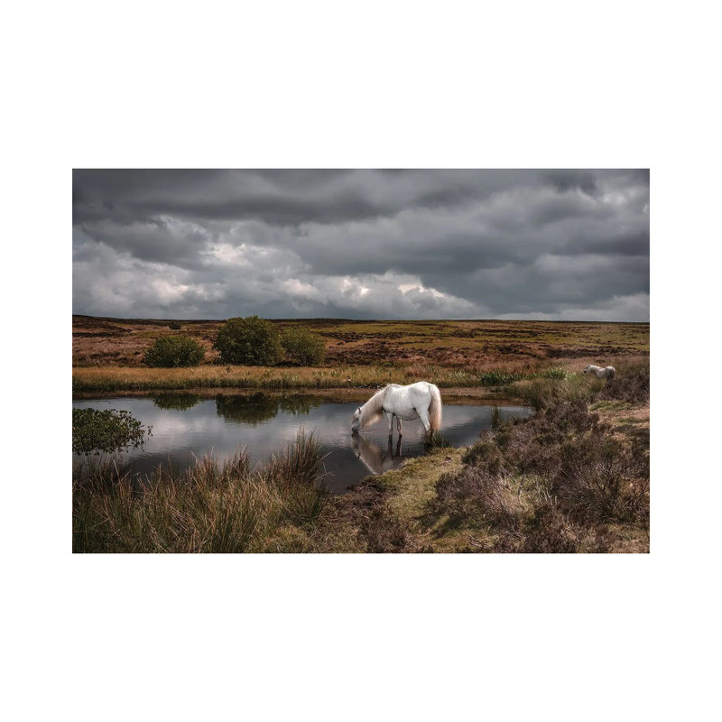 Thirsty 1 Piece Wrapped Canvas Wall Art, 101.6 cm H x 66.04 cm W x 1.91 cm D