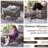 Anferney 79'' Wide Straight Patio Sofa with Cushions-963035701