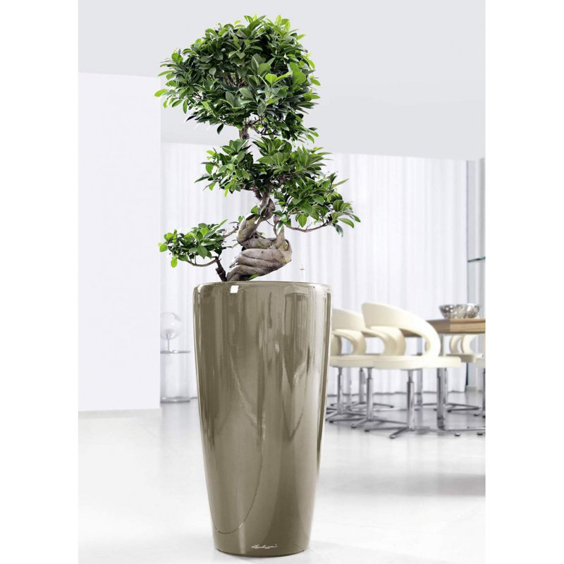Rondo Pot Planter, Taupe, 75 cm H x 40 cm W x 40 cm D
