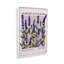 Marché aux fleurs de Provence-1437169637-1437169634