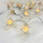 Anitta LED Natural Leaf Lilies String Light-1748274675