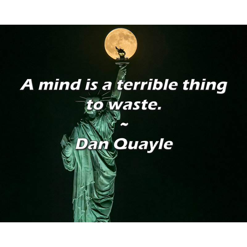 Citation «Un esprit est une chose horrible à gaspiller». Toile tendue par Dan Quayle, H 40 po x l 28 po