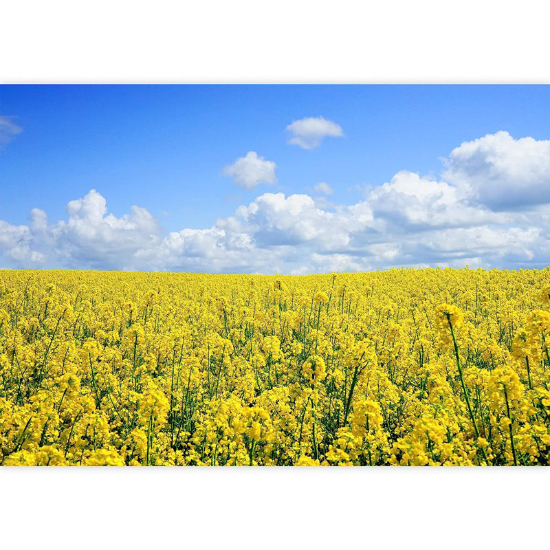 Murale champ de coquelicots jaunes Country Farm, L 66 po x l 96 po