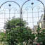 Treillis de jardin en métal - paquet de 2, 86,7 po x 19,7 po, filet de soutien pour plantes antirouille, noir, méthode facile à construire, tube galvanisé, adapté aux plantes grimpantes telles que le lierre, la rose, la gloire du matin,
