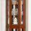 Vitrine de coin avec lumières, tablettes réglables en verre trempé, dos en miroir, vitrine (ampoule E26 non incluse)-133255444-133255446