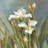 Spring Iris II by Danhui Nai - Wrapped Canvas Art Prints-1513509024