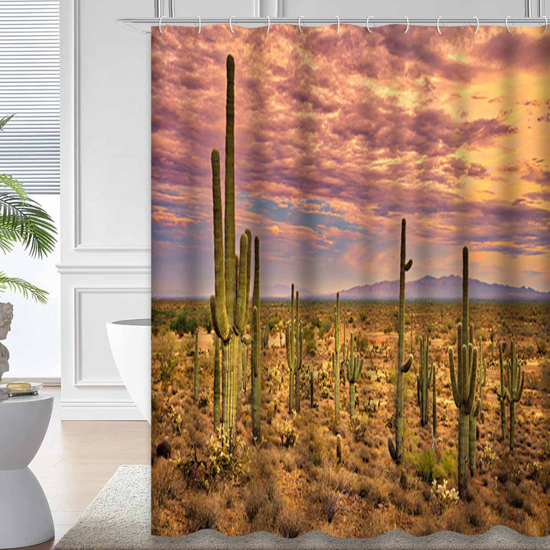 Rideau de douche Desert Sunset Cactus Canyon, L 72 po x l 72 po