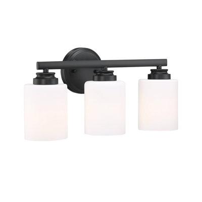 3 - Light Dimmable Vanity Light