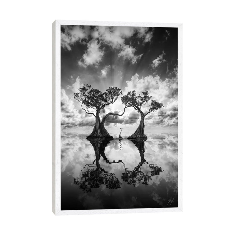 Mangrove Trees II by Kathrin Federer - Print on Canvas, 101.6 cm H x 66.04 cm W, White Framed