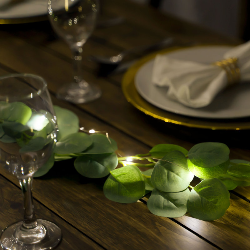 Indoor 100 - Bulb 33.3'' Plug-in LED Fairy String Light, Warm White