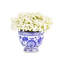 Colette Toile Baby's Breath Bowl