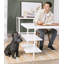 Bouledogue français Max-1516769082