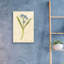 «Forget Me Not Stem» par Cheri Blum, art mural en verre acrylique-666752181