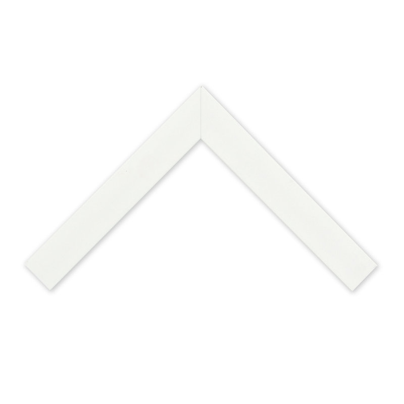 Miroir mural en métal blanc, miroir de salle de bain et miroir de coiffeuse, collection Canant, 20 po x 24 po, Rectangulaire