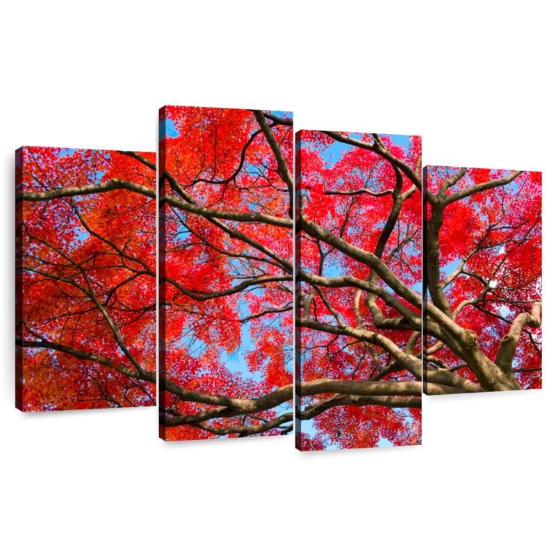 Harnek Japanese Maple Red Canopy