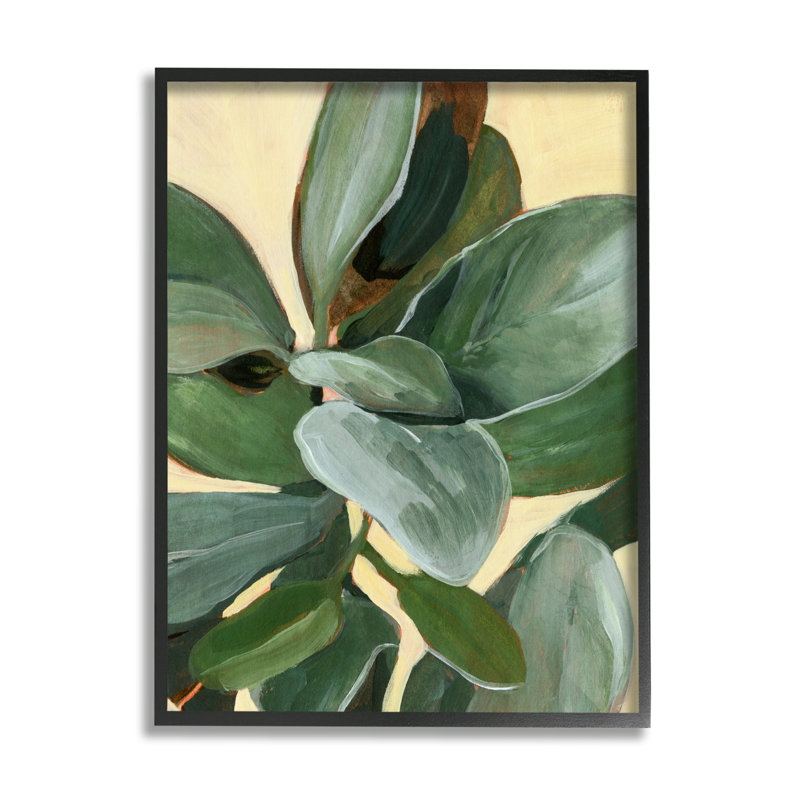 Étude de plantes en pot feuilles vertes, Giclée encadrée noir minuit, H 14 po x l 11 po
