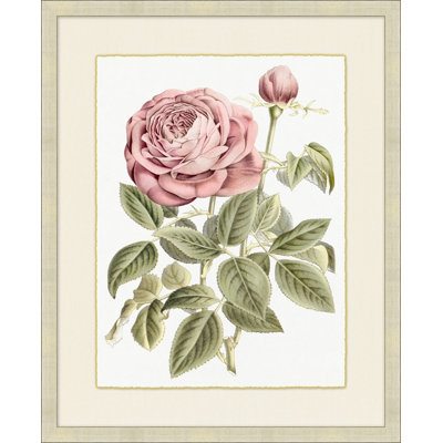 Blush Florals 1 - Peinture encadrée sur papier