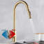 Aliette Modern Brushed Gold Kitchen Sink Mixer Tap Pull Out Sprayer Swivel Single Handle