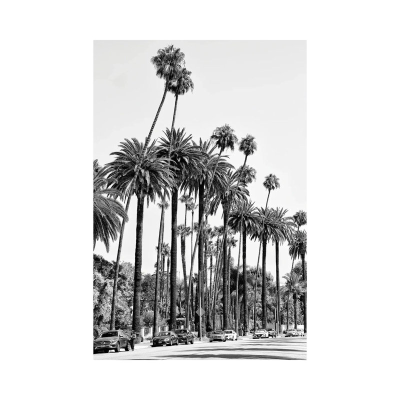 Black California Series - L.A's Palm Trees - Wrapped Canvas Print, 101.6 cm H x 66.04 cm W x 1.91 cm D