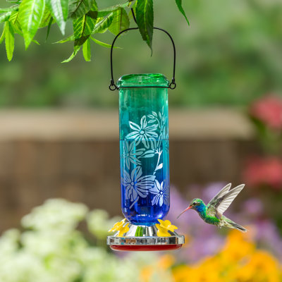 Mangeoire à colibri en verre gravé bleu