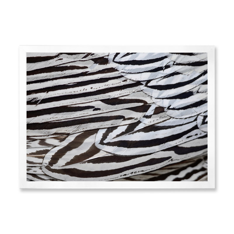 «Silver Pheasant Feathers», peinture sur toile encadrée, H 24 po x l 32 po x P 1 po, Cadre blanc