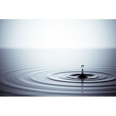 Zen Drop by ThomasVogel - Wrapped Canvas Print