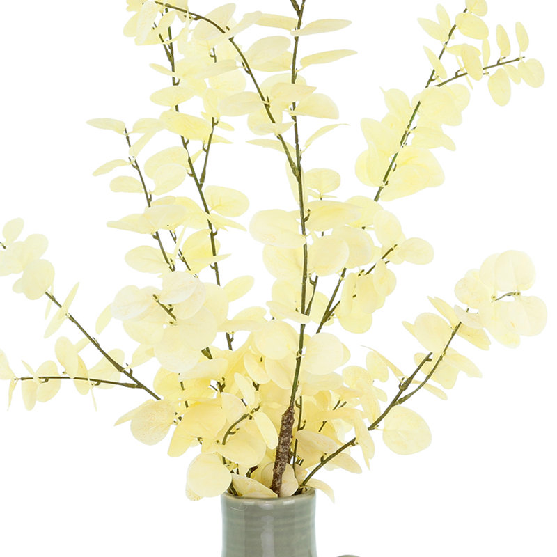 Blanched Eucalyptus Arrangement in Ceramic Jug