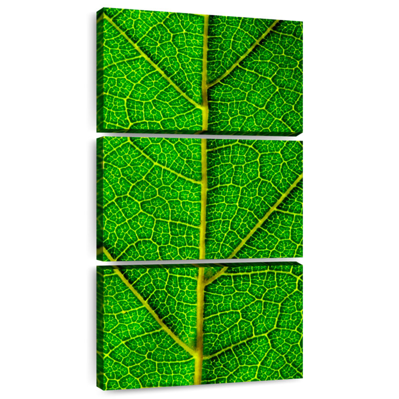 Feuille verte, H 32 po x l 15 po