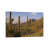Canvas selected
