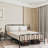 Metal Open-Frame Bed-154855129