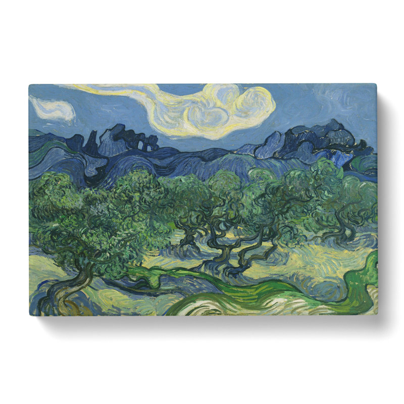 The Olive Trees by Vincent Van Gogh - Wrapped Canvas, 50cm H x 76cm W x 3cm D