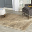 Beauchamp Oriental Area Rug-19827376