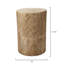 Agave Solid Wood End Table
