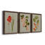 «Botanical Array IV», ensemble de 3 reproductions d'art sur toile-908556574-908556545